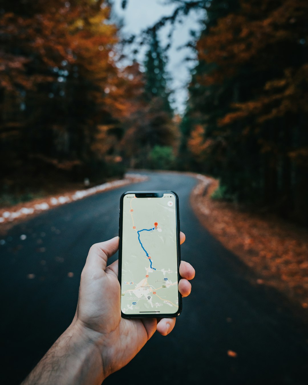 Local Seo Guide