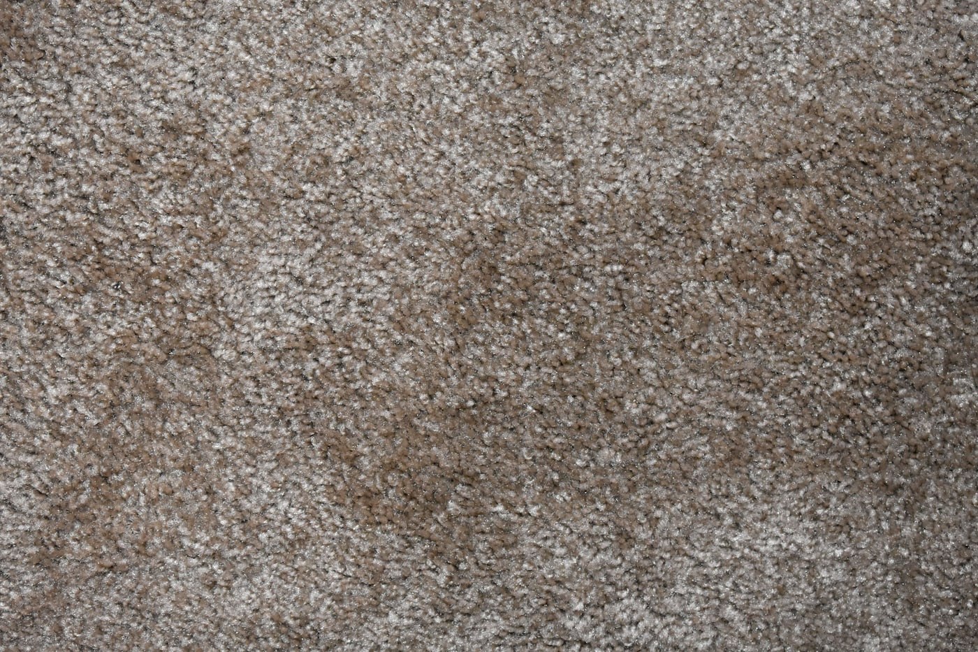 Carpet after professional cleaning