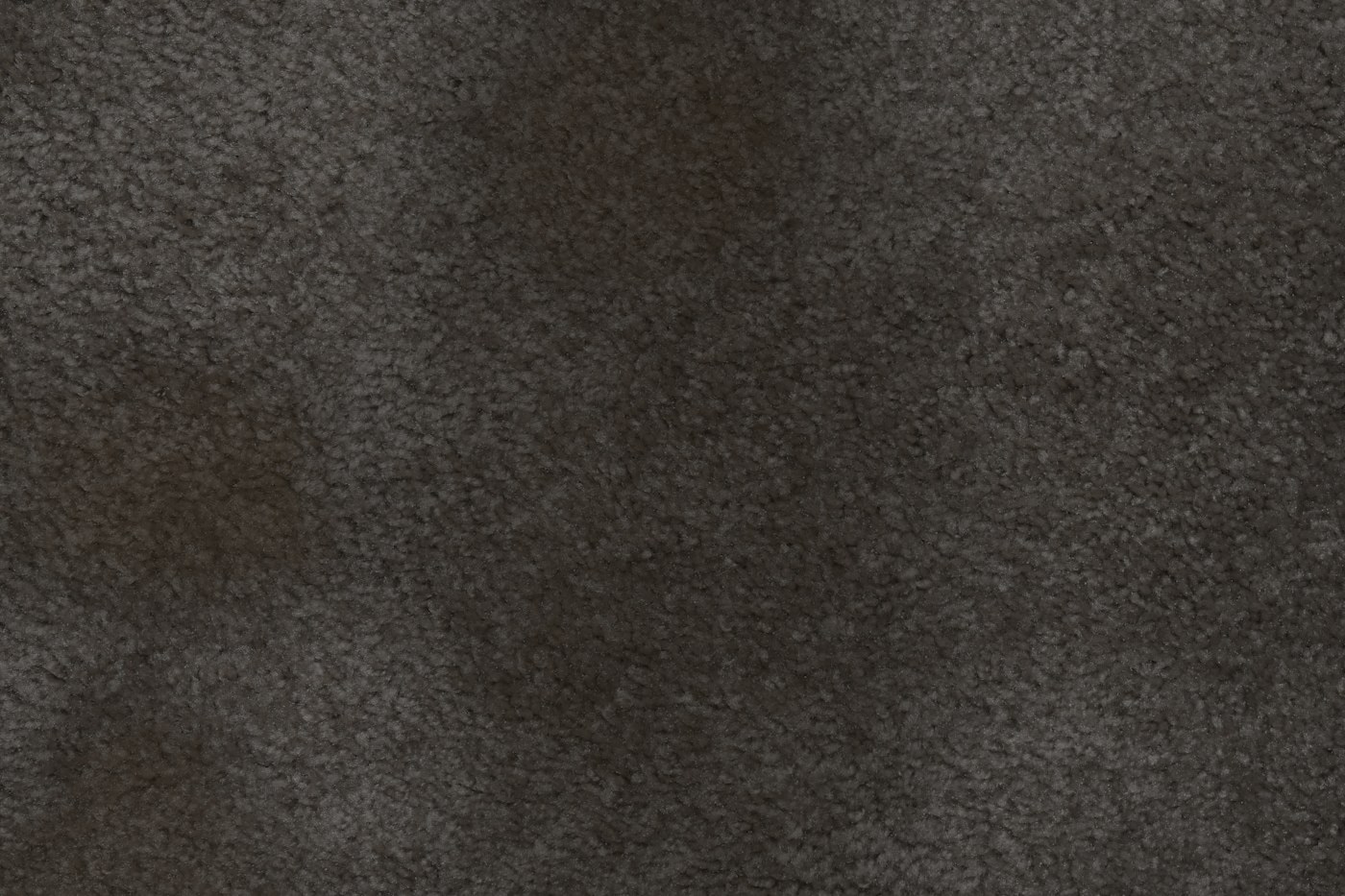 Carpet before cleaning
