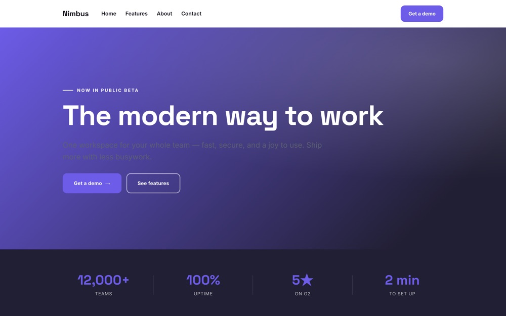 SaaS / Tech Startup website template